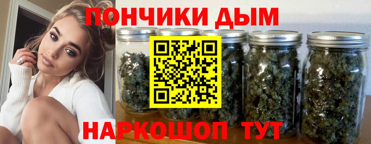 Канабис конопля  Каннабис ГИДРОПОН  Тайшет  Марихуана OG Kush  Вход с VPN 